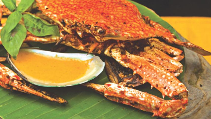 Fish Favourites