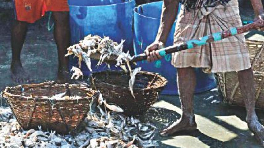 fisherman12.jpg