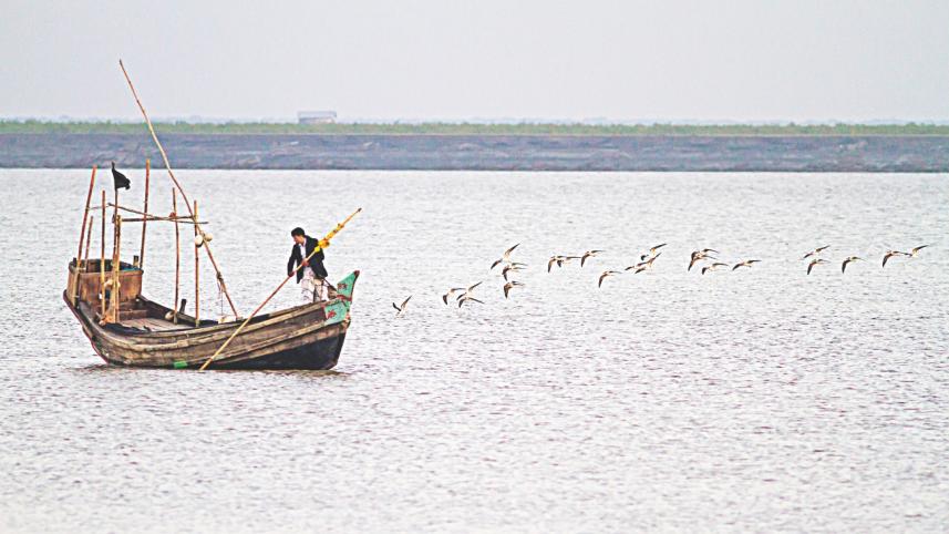 fisherman_0.jpg