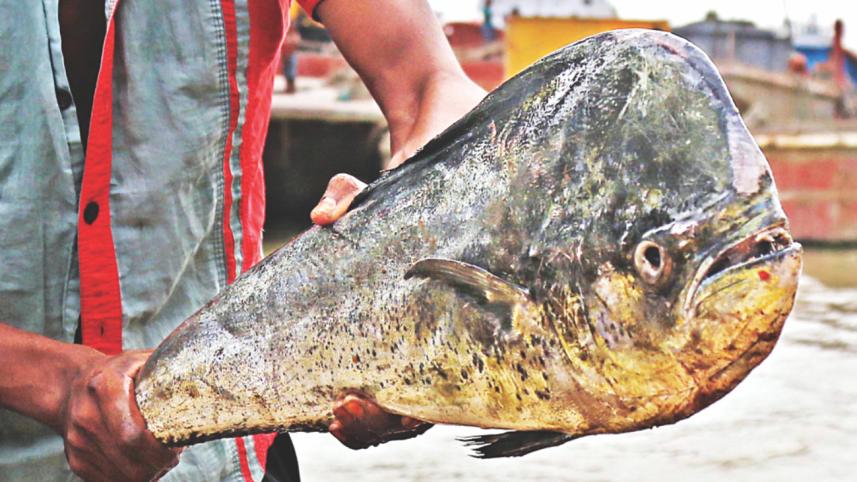 Fisheryghat 4.jpg
