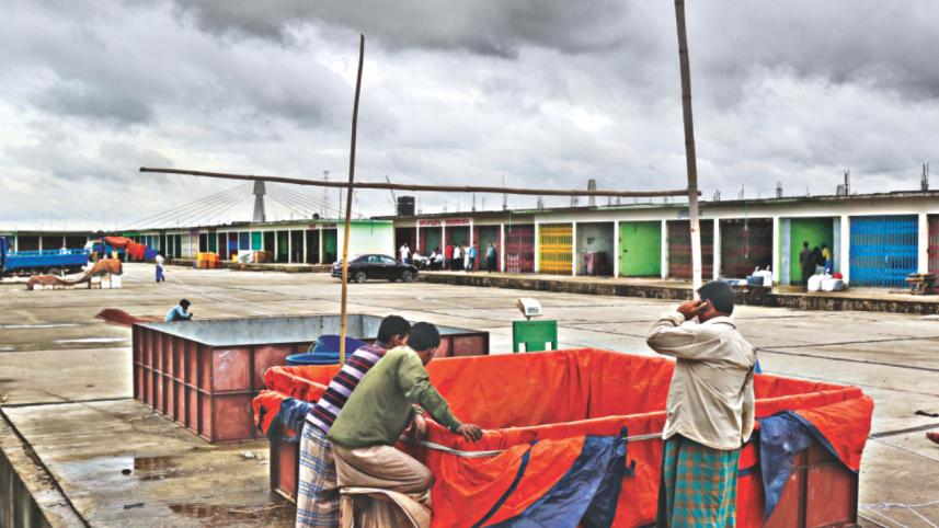 fisheryghat_wholesale_2.jpg