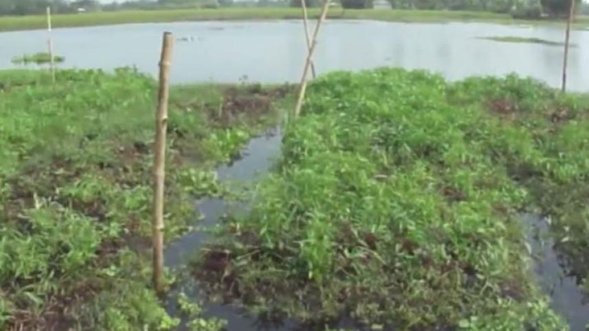 floating-farm5.JPG