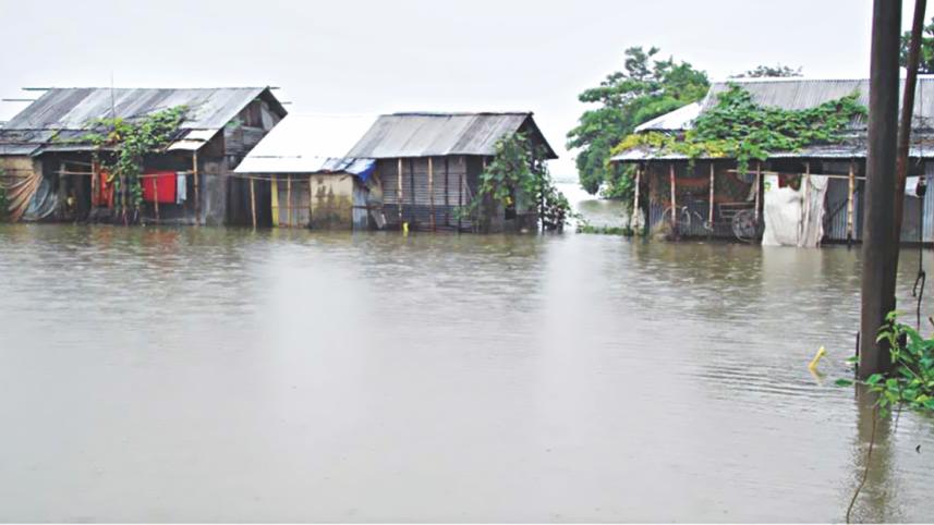 flood.jpg