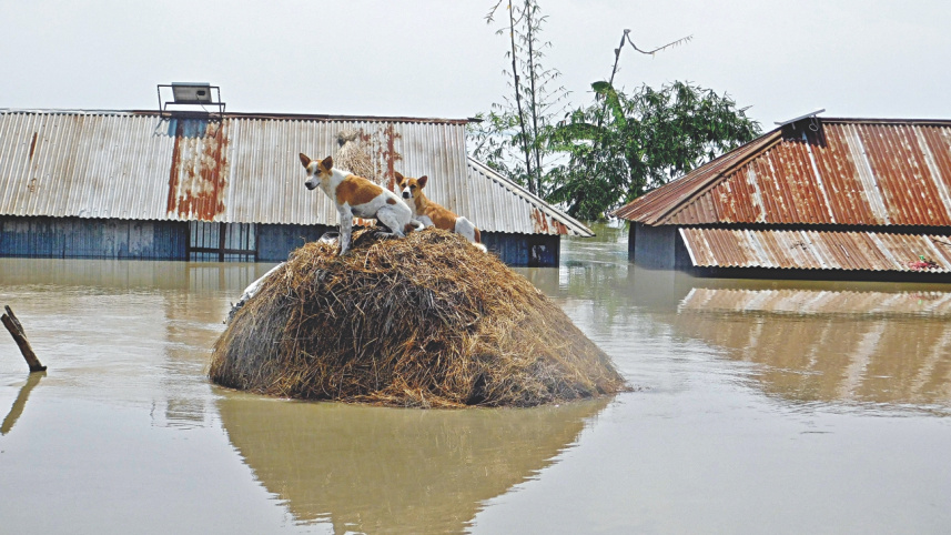 flood3_1.jpg