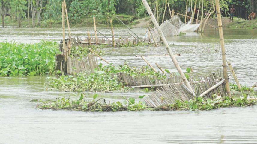 flood 1.jpg