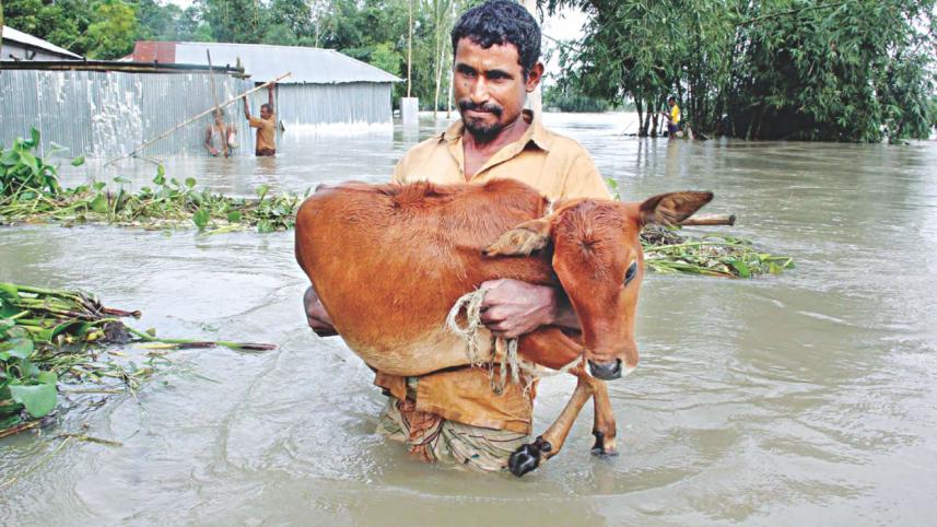 flood_5_0.jpg
