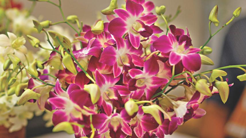 Flower Fiesta 3.jpg