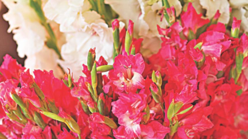 Flower Fiesta 8.jpg