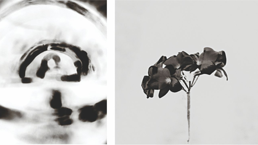 fragments_5.jpg