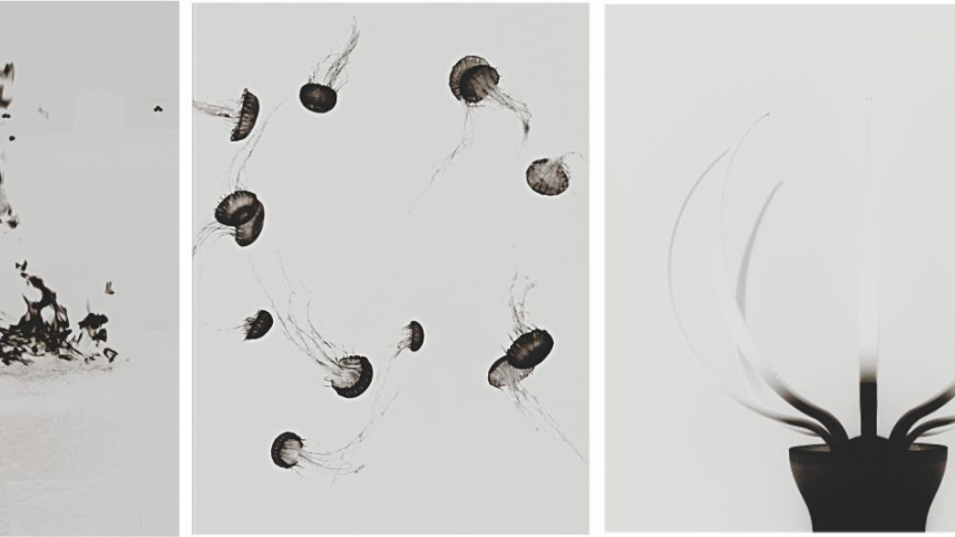 fragments_6.jpg