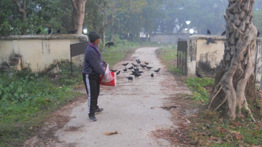 Friend of crows.jpg