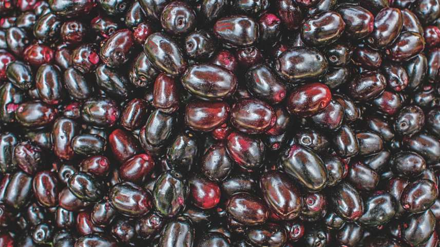 fruits6.jpg