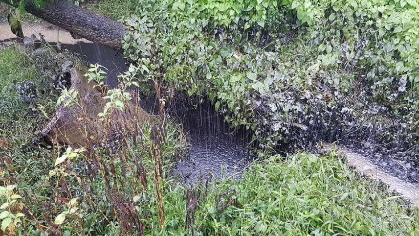 furnace oil dumped