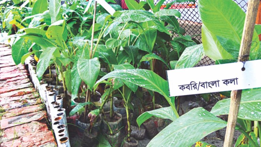 garden_3.jpg