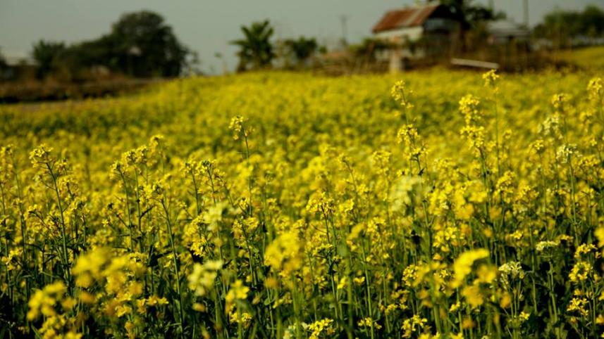 Gazipur 3.jpg