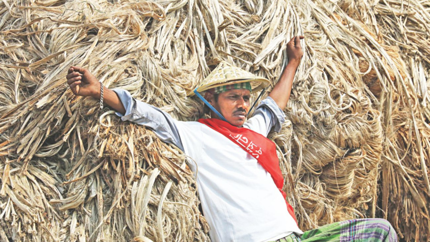 golden_fiber_5.jpg