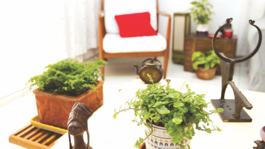 Green decor