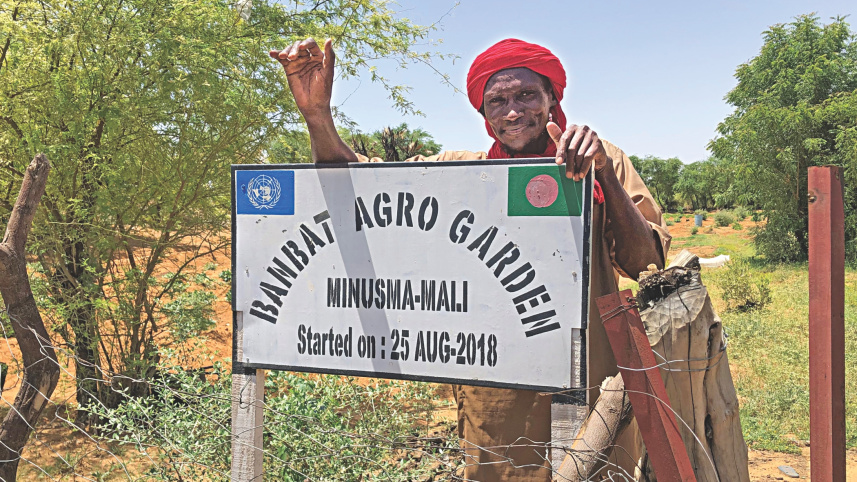 green_patches_mali_2.jpg