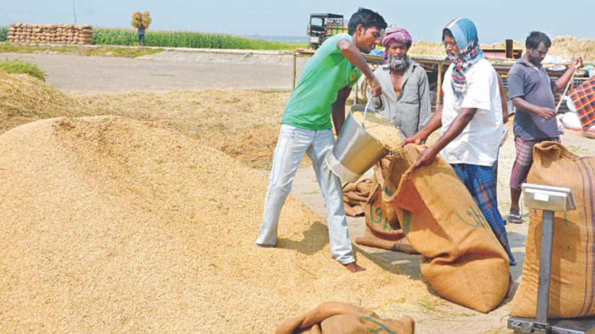 harvest_fest_3.jpg
