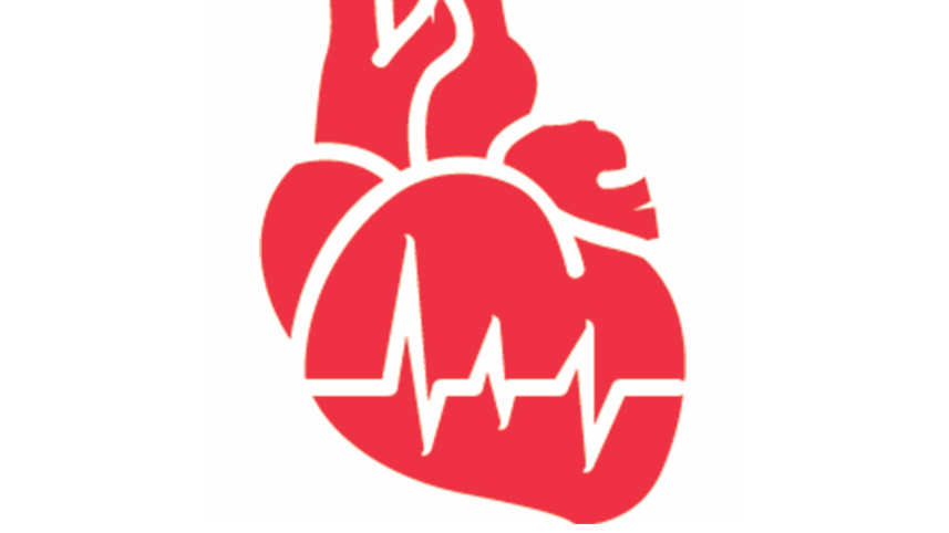 Human Heart