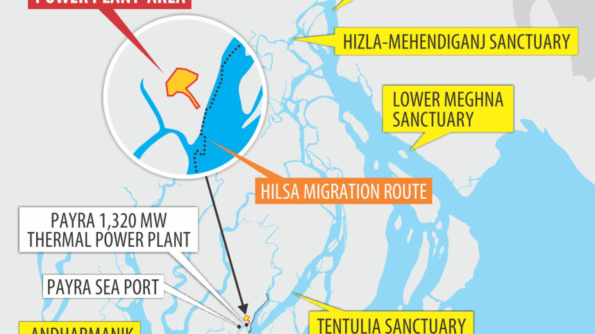 Hilsa Fish Map
