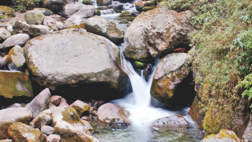Himalayan Trek