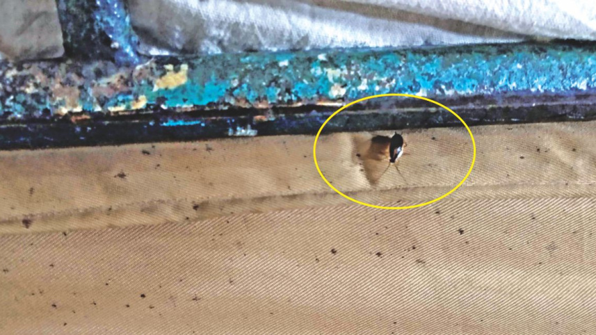 hospital_2.jpg