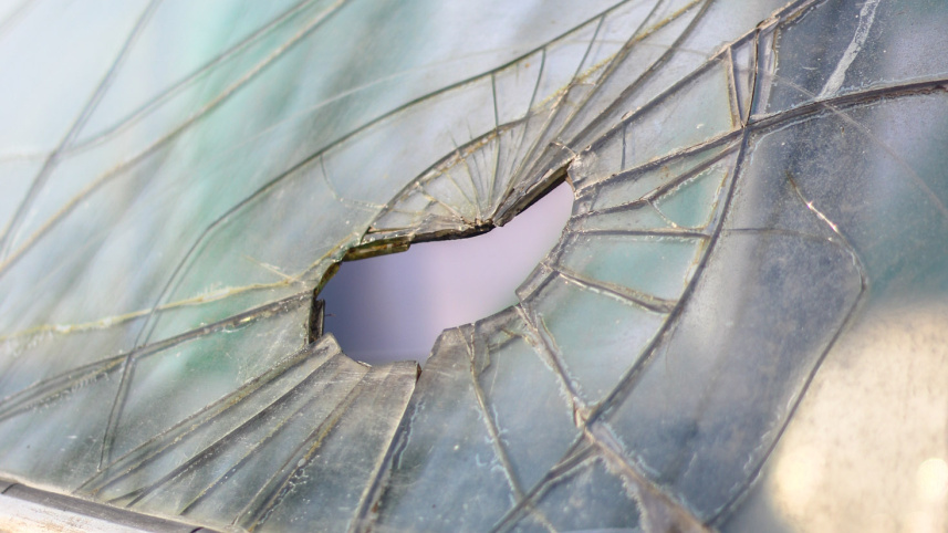 img_0956.jpg