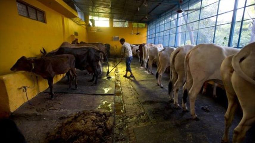 india-polar-2.jpg-NS.jpg