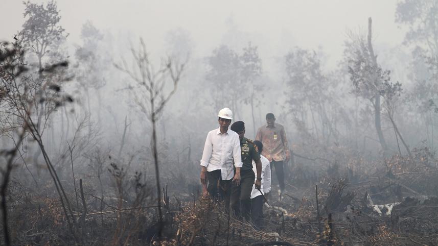 indonesia-3.jpg