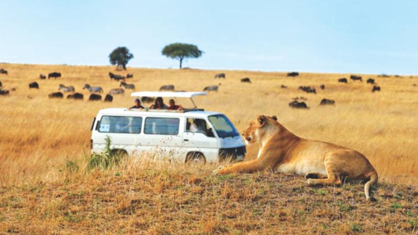 Inside Africa