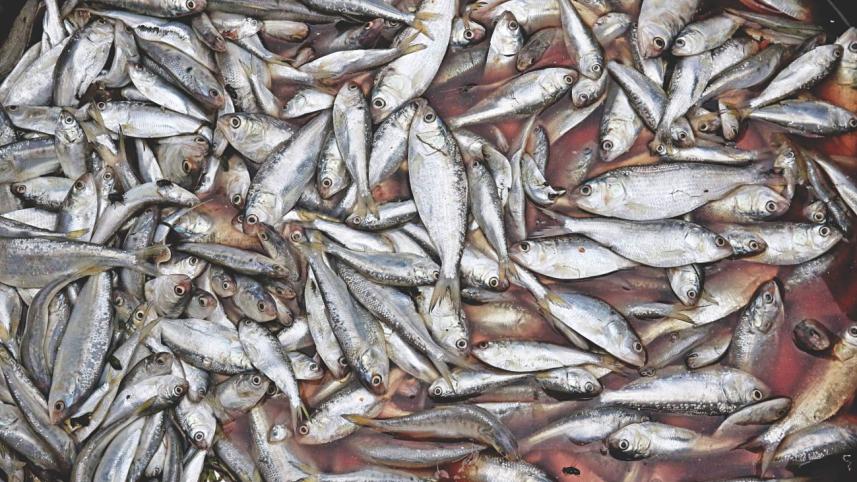jatka on net 01.jpg