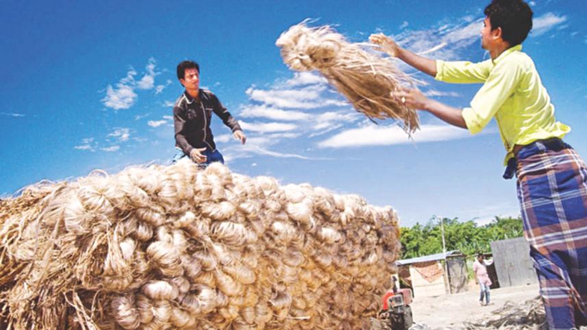Jute.jpg