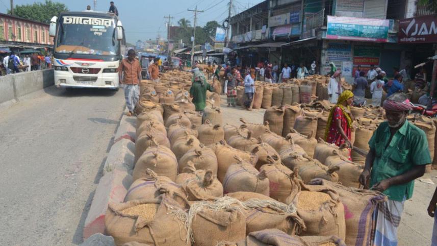 jute1.jpg
