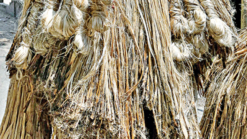 jute_4_0.jpg