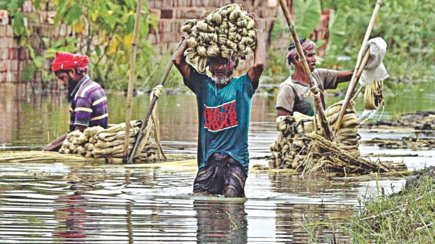 jute 5.jpg