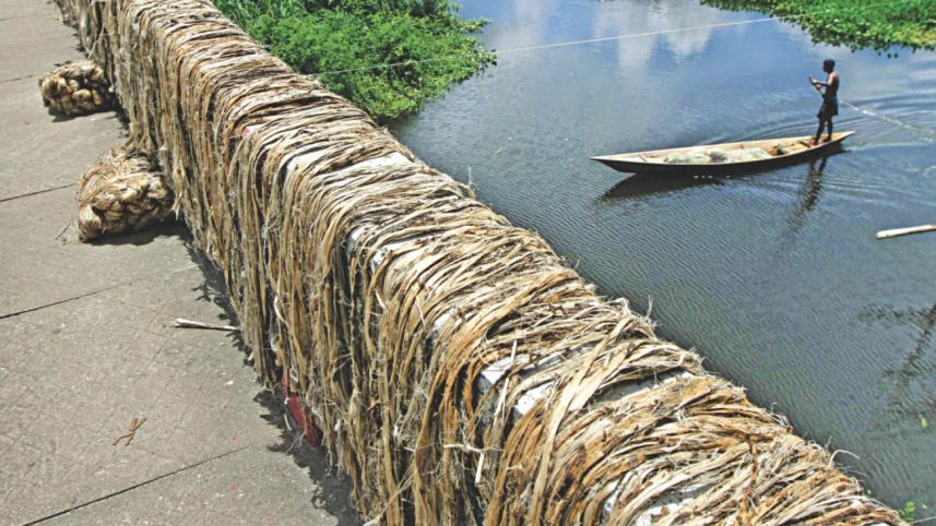jute 6.jpg