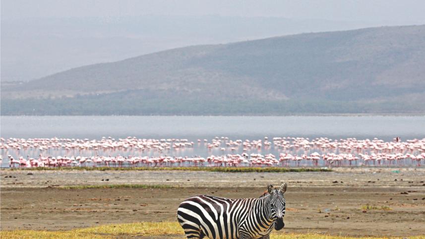 Kenya3.jpg