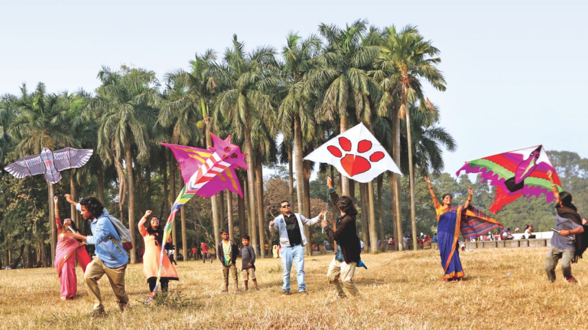 kite6.jpg