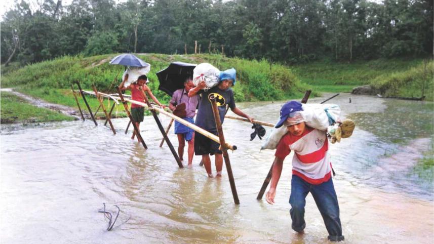 longadu4.jpg