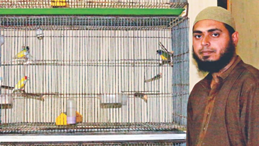 love_finches_3.jpg