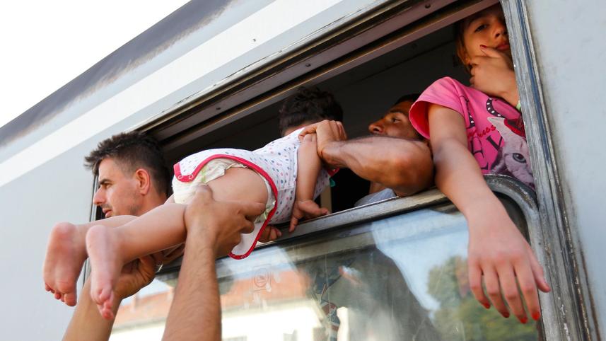 migrant-1.jpg