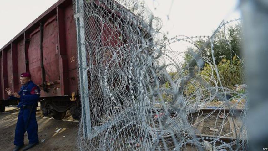 migrant_3_AFP.jpg