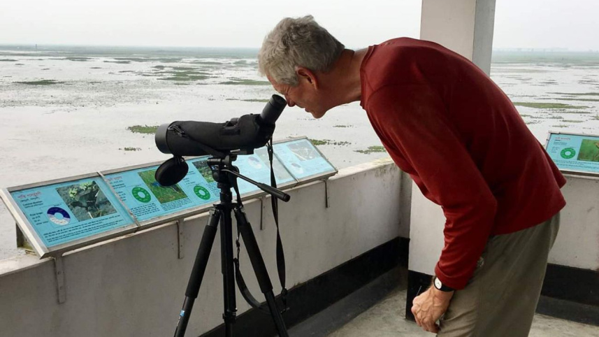 migratory_birds_2.jpg