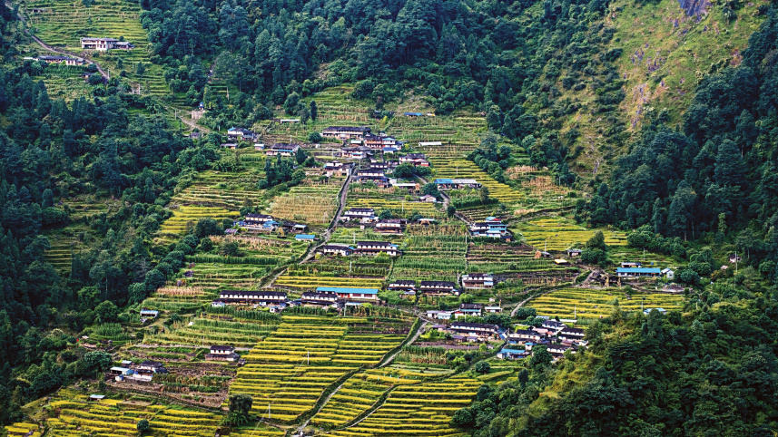 mountain3.jpg