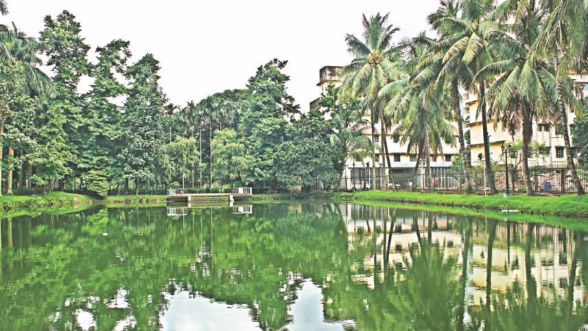 national_museum_pond.jpg