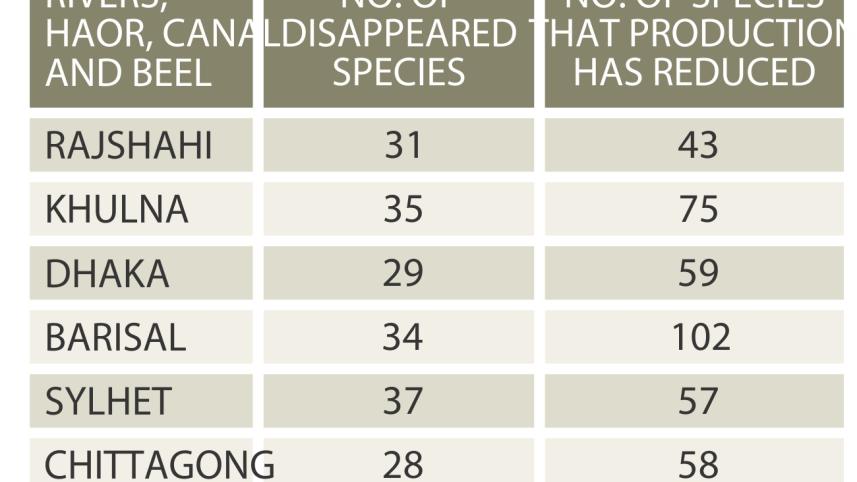 natural fish 1.jpg