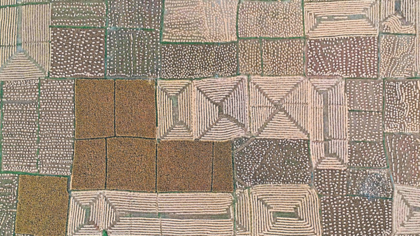 nature5.jpg