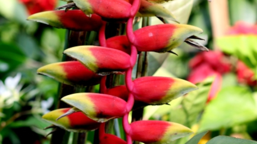 nature_lovers11.jpg