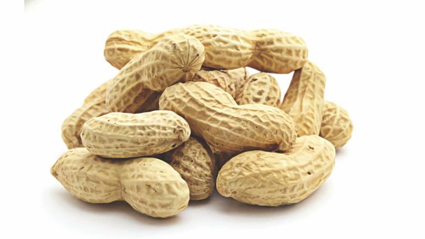 nut.jpg